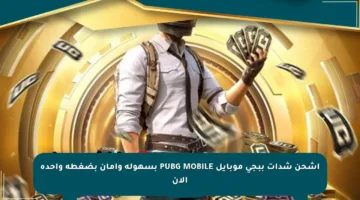 اشحن شدات ببجي موبايل PUBG MOBILE بسهولة وأمان بضغطة واحدة الآن